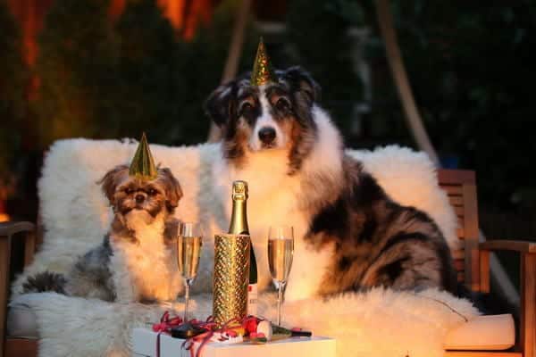Frohe Weihnachten und guten Rutsch 2016